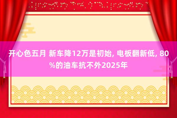 开心色五月 新车降12万是初始， 电板翻新低， 80%的油车抗不外2025年