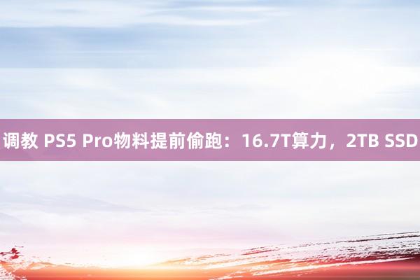 调教 PS5 Pro物料提前偷跑：16.7T算力，2TB SSD