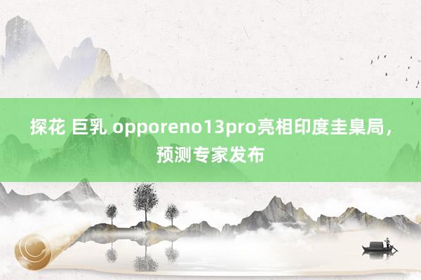 探花 巨乳 opporeno13pro亮相印度圭臬局，预测专家发布