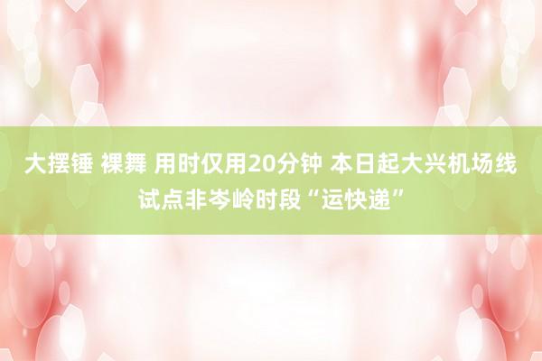 大摆锤 裸舞 用时仅用20分钟 本日起大兴机场线试点非岑岭时段“运快递”