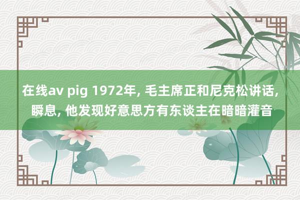 在线av pig 1972年， 毛主席正和尼克松讲话， 瞬息， 他发现好意思方有东谈主在暗暗灌音