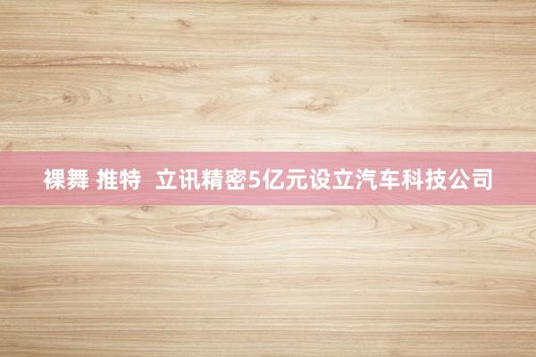 裸舞 推特  立讯精密5亿元设立汽车科技公司