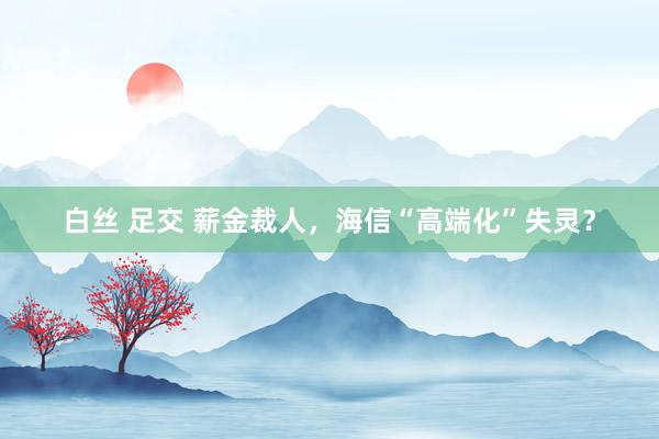 白丝 足交 薪金裁人，海信“高端化”失灵？