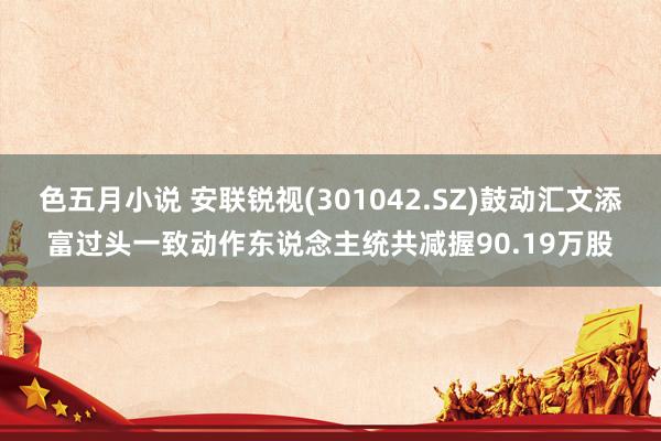 色五月小说 安联锐视(301042.SZ)鼓动汇文添富过头一致动作东说念主统共减握90.19万股