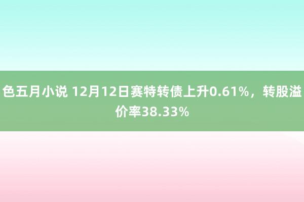 色五月小说 12月12日赛特转债上升0.61%，转股溢价率38.33%