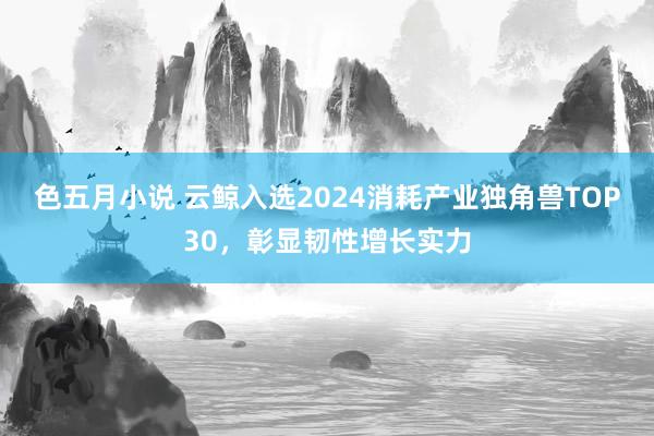色五月小说 云鲸入选2024消耗产业独角兽TOP30，彰显韧性增长实力