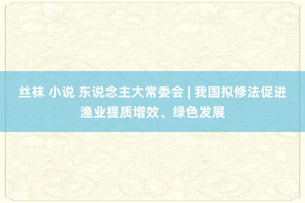 丝袜 小说 东说念主大常委会 | 我国拟修法促进渔业提质增效、绿色发展