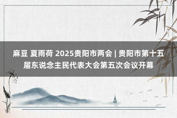 麻豆 夏雨荷 2025贵阳市两会 | 贵阳市第十五届东说念主民代表大会第五次会议开幕