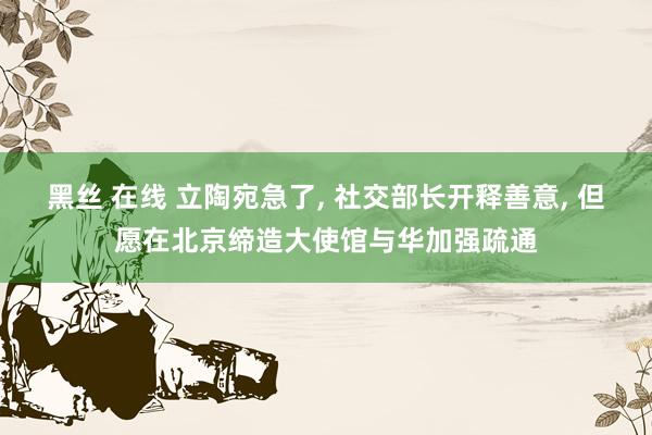 黑丝 在线 立陶宛急了， 社交部长开释善意， 但愿在北京缔造大使馆与华加强疏通