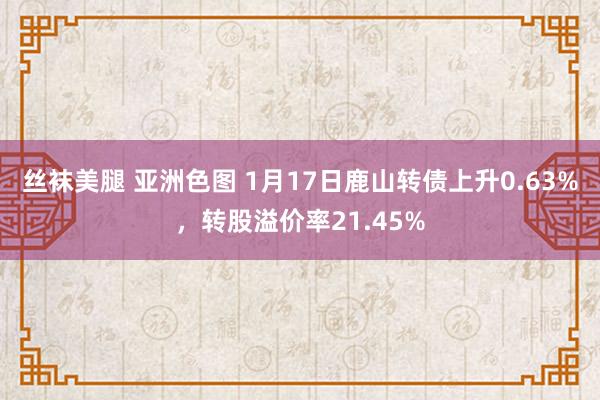 丝袜美腿 亚洲色图 1月17日鹿山转债上升0.63%，转股溢价率21.45%