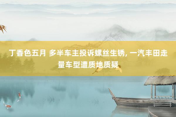 丁香色五月 多半车主投诉螺丝生锈， 一汽丰田走量车型遭质地质疑