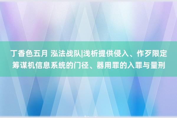 丁香色五月 泓法战队|浅析提供侵入、作歹限定筹谋机信息系统的门径、器用罪的入罪与量刑