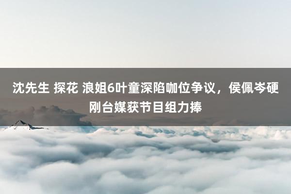 沈先生 探花 浪姐6叶童深陷咖位争议，侯佩岑硬刚台媒获节目组力捧