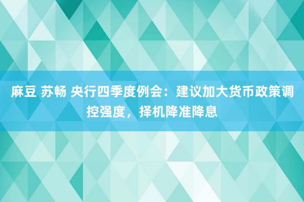 麻豆 苏畅 央行四季度例会：建议加大货币政策调控强度，择机降准降息