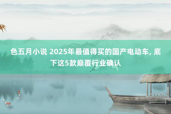 色五月小说 2025年最值得买的国产电动车， 底下这5款巅覆行业确认