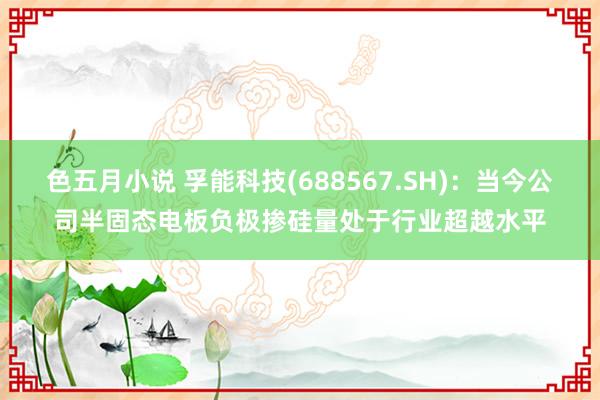 色五月小说 孚能科技(688567.SH)：当今公司半固态电板负极掺硅量处于行业超越水平