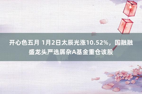 开心色五月 1月2日太辰光涨10.52%，国融融盛龙头严选羼杂A基金重仓该股