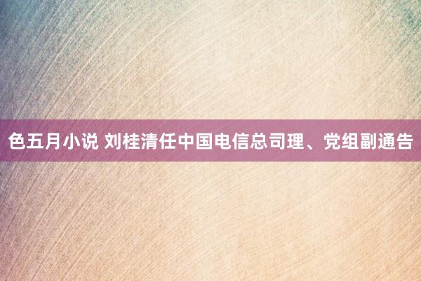 色五月小说 刘桂清任中国电信总司理、党组副通告
