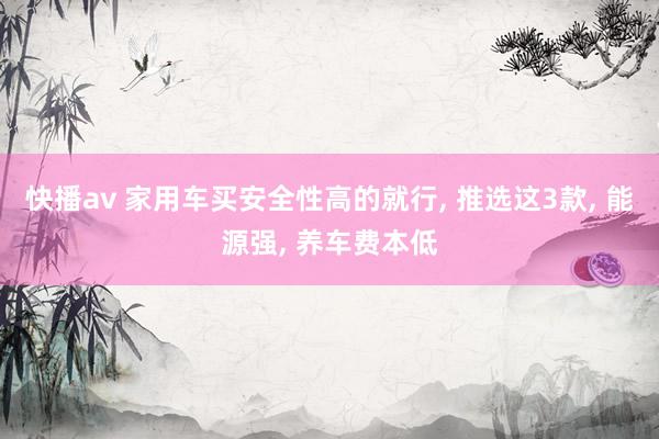 快播av 家用车买安全性高的就行， 推选这3款， 能源强， 养车费本低