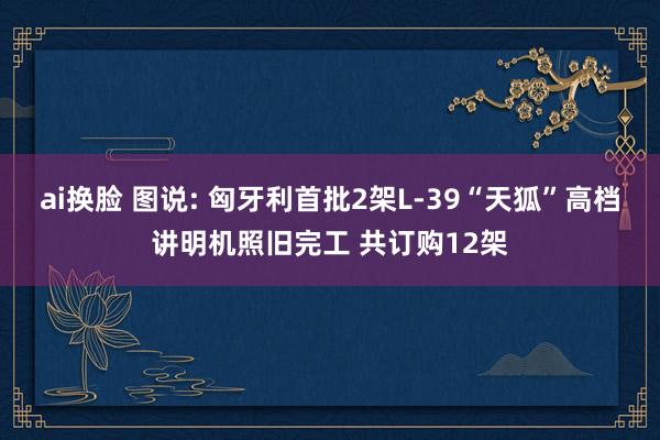 ai换脸 图说: 匈牙利首批2架L-39“天狐”高档讲明机照旧完工 共订购12架
