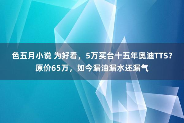 色五月小说 为好看，5万买台十五年奥迪TTS？原价65万，如今漏油漏水还漏气